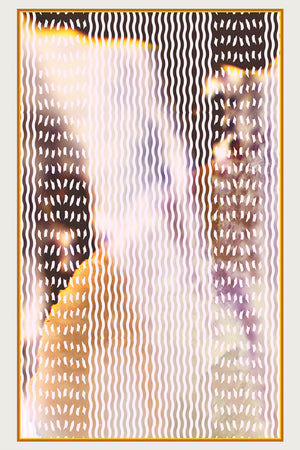 Ino Design - Nux Gallica